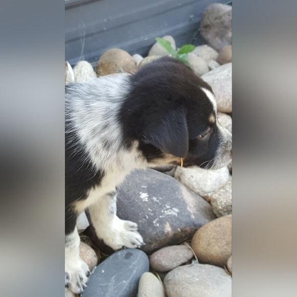 COPY - MISSY'S BLOG - Picture 7 of 8